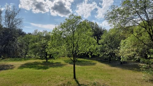 La sagesse de l&rsquo;Inde -Gandhi