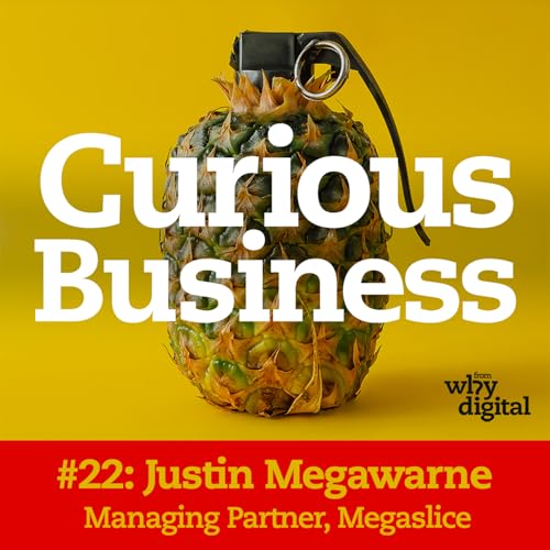 Is the software industry broken? Justin Megawarne of Megaslice