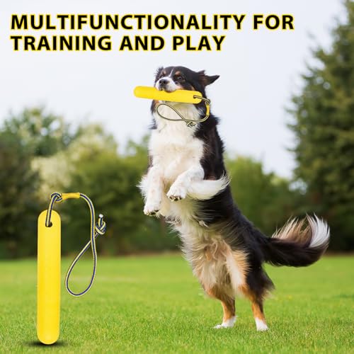 CUVZORA Wasserspielzeug Hund, Schwimmendes Hundespielzeug mit Nylon Rope für mittelgroße und große Hunde, Wasserspielzeug für Apportieren und Hundetraining im Pool, See oder Strand (Gelb, B)