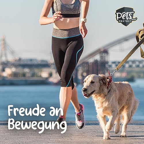 Pets PROTECT 100% Grünlippmuschel-Pulver für Gelenk-Funktion | Sehr hoher Gehalt an Glykosaminoglykanen (3,5%) | Beste Vollfettqualität | Ohne Zusätze | Hund & Katze | 150 g Grünlippmuschelpulver