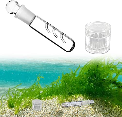 Eighosee 8 Stück Bierschneckenfallen - Zum Fangen Von Schneckenfänger