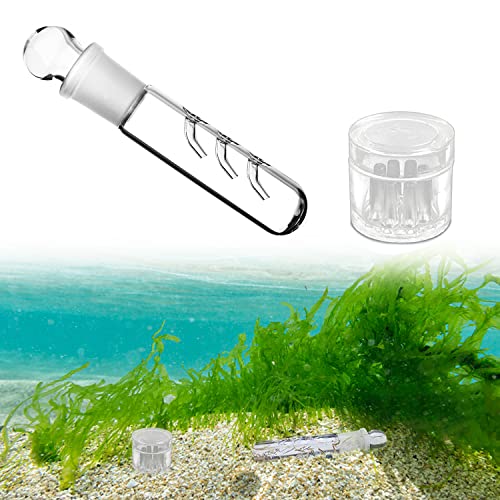 Was Tun Gegen Schnecken Im Aquarium Schneckenplage im Aquarium bekämpfen - Aquaristik