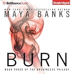 Cover of Burn