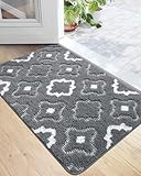 DEXI Door Mats Indoor, Absorbent Non Slip Front Door Rugs for Inside House, Low Profile Easy Clean Entrance Mat, 32'x20', Grey
