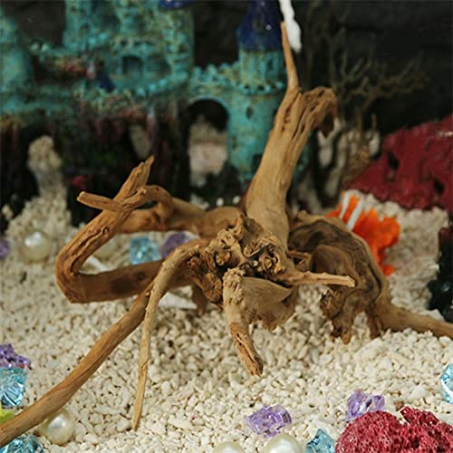 Tronco Naturale di Legno, Ceppo di pianta