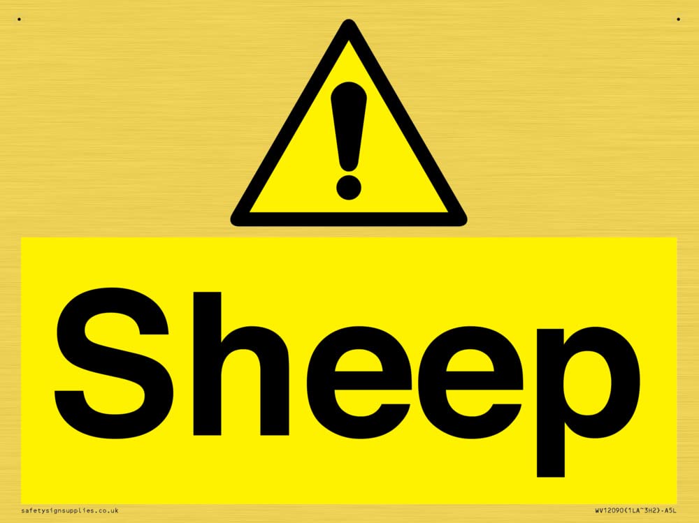 Sheep Sign - 200x150mm - A5L