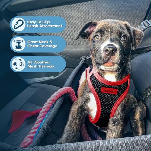 Image of Voyager Step-in Air All Weather Mesh Harness and Reflective Dog 5 ft Leash Combo with Neoprene Handle, for Small, Medium and Large Breed Puppies by Best Pet Supplies - Red Trim, XS
