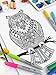 Owl Adult Coloring, Stretched primed canvas to color, Size – 8 x 12 Inches