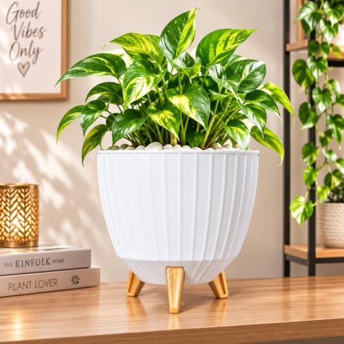 Image of (7 Inch) Plastic Gamala for Indoor Outdoor Plants with Stand, planters for Home Decor, Flower Pot with Legs, Flower Pot for Living Room, Garden, Pot for Office Table & Home (White, 3)