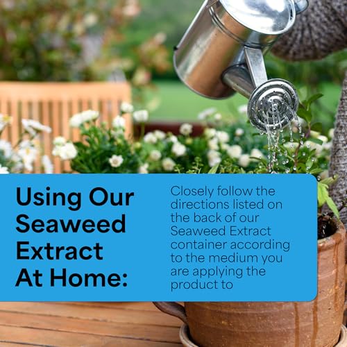 Image of Grow More Liquified Seaweed Extract Fertilizer for Plants - 16oz of Liquefied Natural Liquid Kelp Fertilizer - 11% Organic Kelp Plant Food for Transplant Protection & Root Development