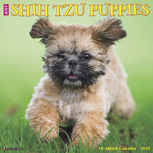 Télécharger Just Shih Tzu Puppies 2020 Calendar PDF Ebook En Ligne
