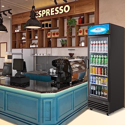 Bodegacooler Commercial Glass Door Display Refrigerator Merchandiser,Upright Beverage Cooler With Soft Led Light, Adjustable Shelves And Drink Organizers, 12.5 Cu. Ft,Black #TOP1