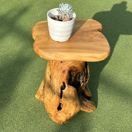 OLDTREE 18.9" Tall Tree Stump Stool for Porch, Natural Wooden Side Table for Living Room, Live Edge End Table for Bedroom,Living Room, Outdoor