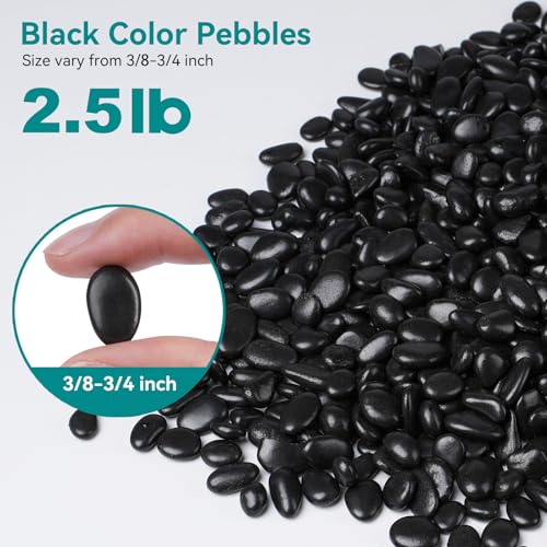Image of 2.5 lbs Black Pebbles for Indoor Plants, 3 /8 inch Small Rocks for Plants Indoor, Succulent, Bamboo, Vase, Decorative Black River Rocks Pea Gravel, Highly Polished