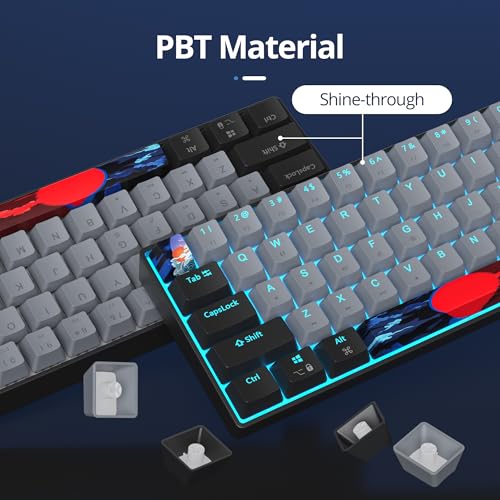 Image of 65 Percent Gaming Keyboard 68 Keys Mechanical Keyboard LED Backlit Ultra Compact Wired Key Board with Red Switch for Windows Laptop Gamer(68Dolch)