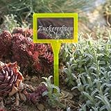 Bütic GmbH Placa para plantas Plexiglas® con forma de lágrima (doble cuadrada), color naranja neón y gris transparente, nombre de planta: guisantes de azúcar