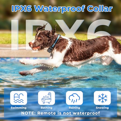 Usage terrain collier citronnelle dressage chien