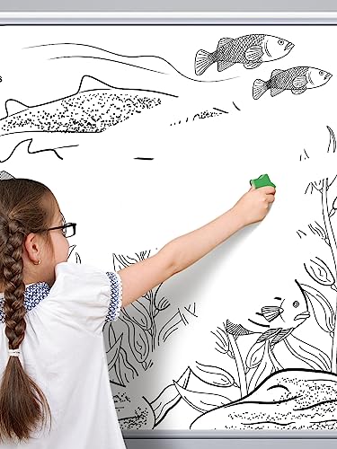 Image of 24Pcs Strong Magnetic Dry Erase Eraser, Classroom Must Haves, Star
