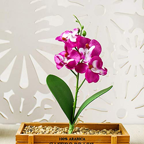 TOMHY Decoration Set Bouquets Artificial Wedding Phalaenopsis Bonsai Display Office : JH1392