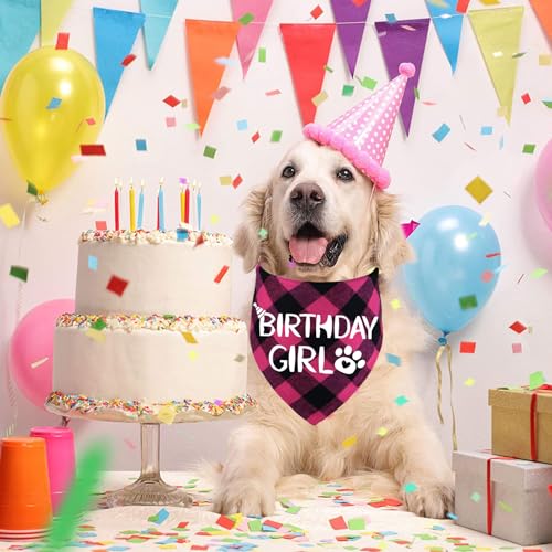 Stmk Dog Birthday Bandana thumb #4