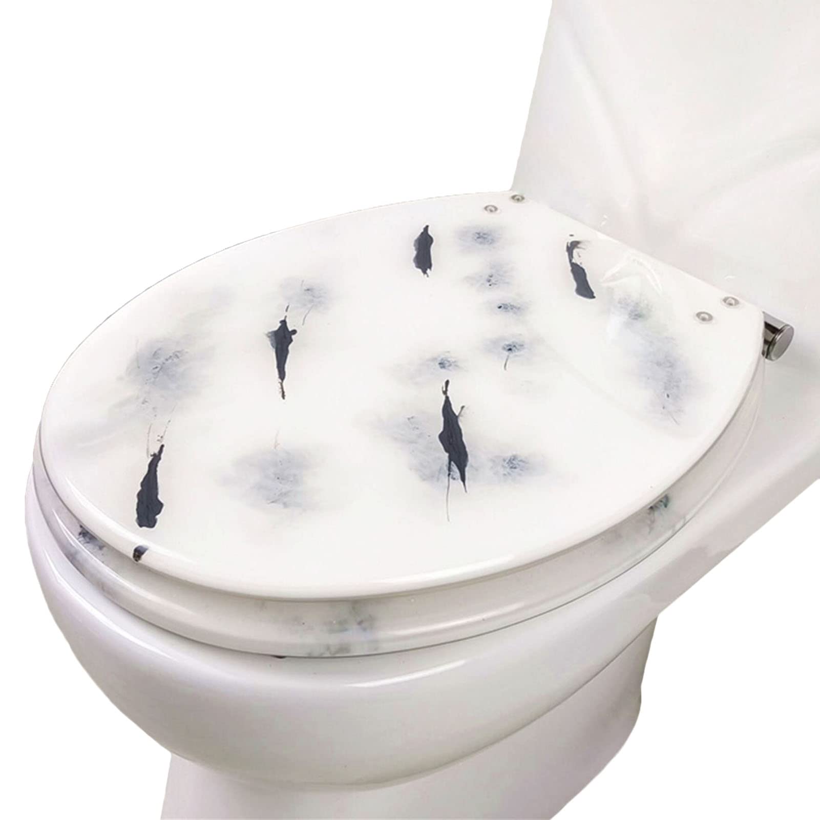 Dxpsxjl B Soft Close Close Toilet Seat, Quick Release Lid, Easy Install Hinges, Adjustable, Lightweight, Durable, Portable, User-Friendly, Compact, Oval