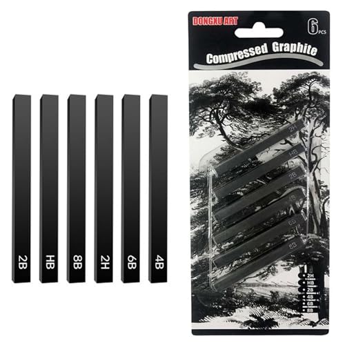 Tolenre Bastoncini di Materiale in Grafite da 6 Pezzi Matite a Carboncino Set di Matite da Disegno Artista Schizzo a Carboncino per Disegni Fai da te, Schizzi, Ombreggiature, Principianti e Artisti