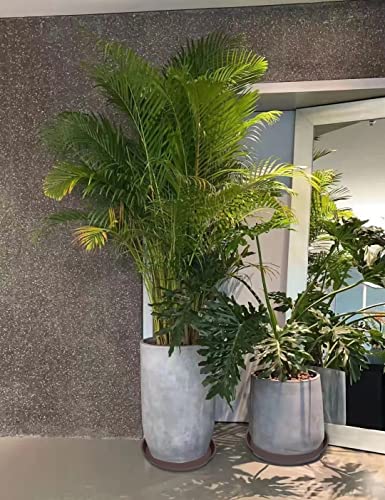 Angde Plant Saucer 16 Inch (13.5 Inch Base), 4 Pack of 15 Plant Saucer, Heavy Duty Plastic Plant Saucers for Indoors 16