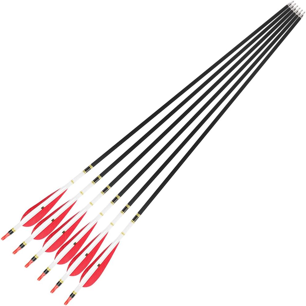 12pcs Spine500 Carbon Arrows 31.5inch Archery 100Grain Arrowhead for Recurve Compound Bow Target Hunting Shooting Practice
