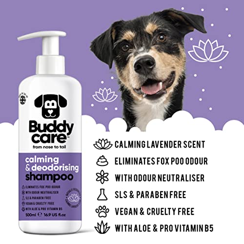 Beruhigendes & desodorierendes Shampoo von Buddycare - Lavendelduftendes Hundeshampoo - Mit Aloe Vera und Pro-Vitamin B5 (500ml)