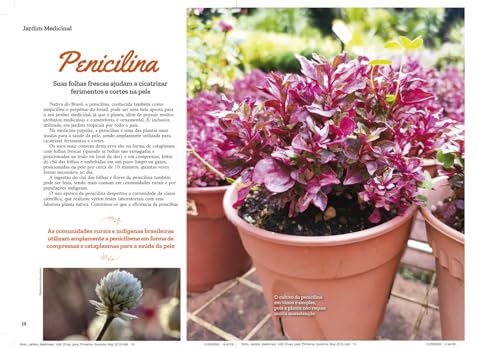 Jardim Medicinal - Volume 7: Ervas para Primeiros Socorros