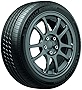 MICHELIN Primacy Tour A/S, All-Season Car Tire, Sport and Performance Cars - 225/55R19 99V