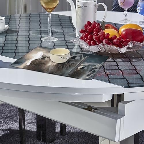 Sets de table antidérapants et résistants à la chaleur