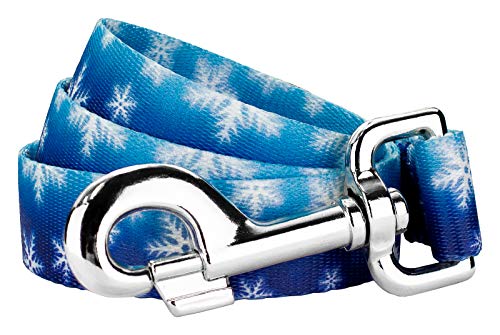 Country Brook Petz - Winter Wonderland Dog Leash - Christmas Collection Featuring Festive Designs (6 Foot, 1 Inch Wide)