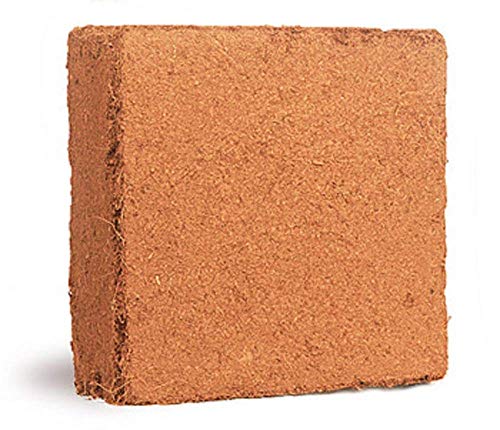 Image of Bazodo Coir Pith Block for Gardening & Plants, Expands into Coco Peat Powder - 5 KG