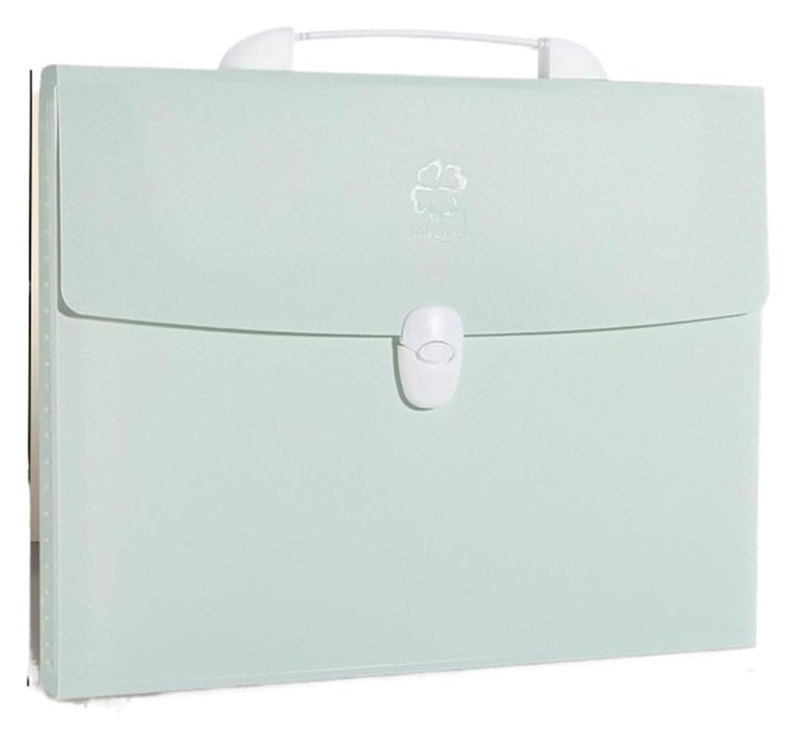 Cartella espandibile A4 con 13 tasche buste in plastica trasparente multicolore for ufficio scuola(Green)