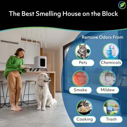 Air Oasis iAdaptAir 2.0
