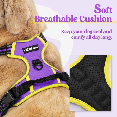 Image of rabbitgoo Dog Harness No Pull with 2 Leash Clips, Adjustable Soft Padded, Reflective Oxford No Choke Pet Vest with Easy Control Handle for Medium Sized Dogs, Purple & Yellow, M