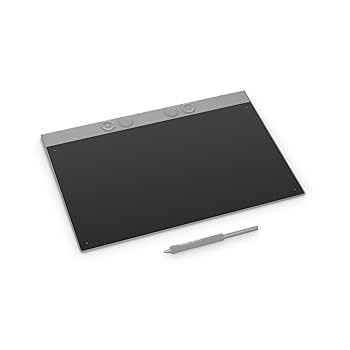 Wacom テクスチャシート M Standard Amazon | Wacom Intuos Pro Large (2025年版) 用交換用