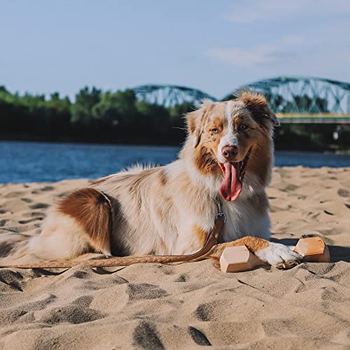 Dingo Apportier Holz aus einem Stück Erlenholz Apport für Gehorsam,Obedience Spiel, Spaß und Hundetraining 150 g 17551