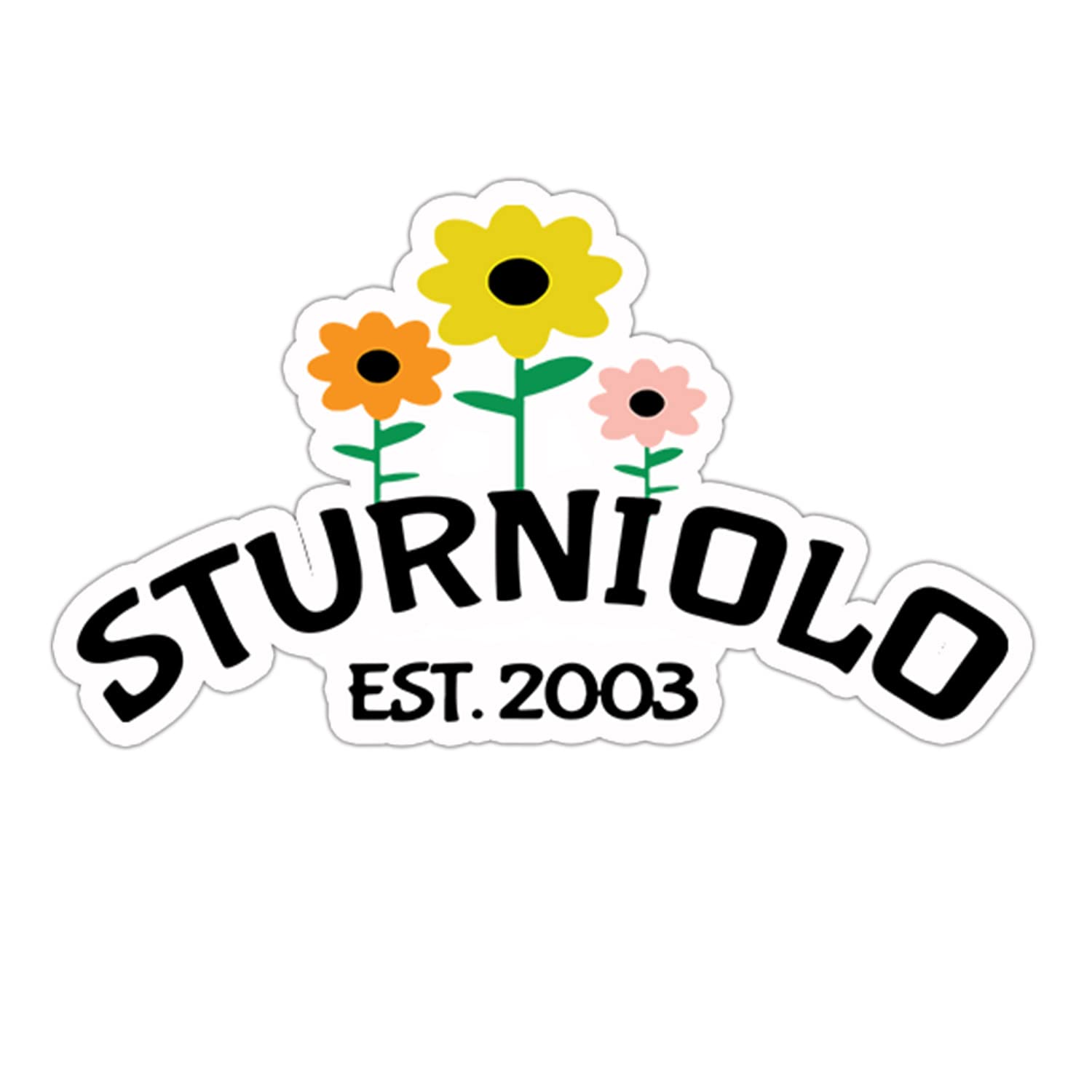 Unraveling The Truth: Did Chris Sturniolo Really Die? - t61a6as