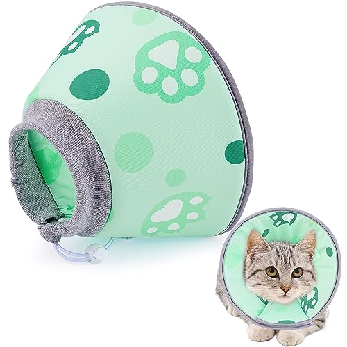 Cones for Cats The 15 best products compared Wild Explained