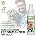 CORE Pet Complete Oral Care from The Founders of PetzLife - 4 oz (Peppermint Spray)