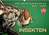 Die geheimnisvolle Welt der Insekten (Wandkalender 2020 DIN A3 quer): Faszinierende Nahaufnahmen von verschiedenen Insekten (Geburtstagskalender, 14 Seiten ) (CALVENDO Tiere) - Renate Bleicher