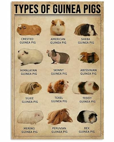 Preeklen Tin Sign 049 Metal Tin Signs Vintage Kitchen Types Of Guinea Pigs 12X16 Inch
