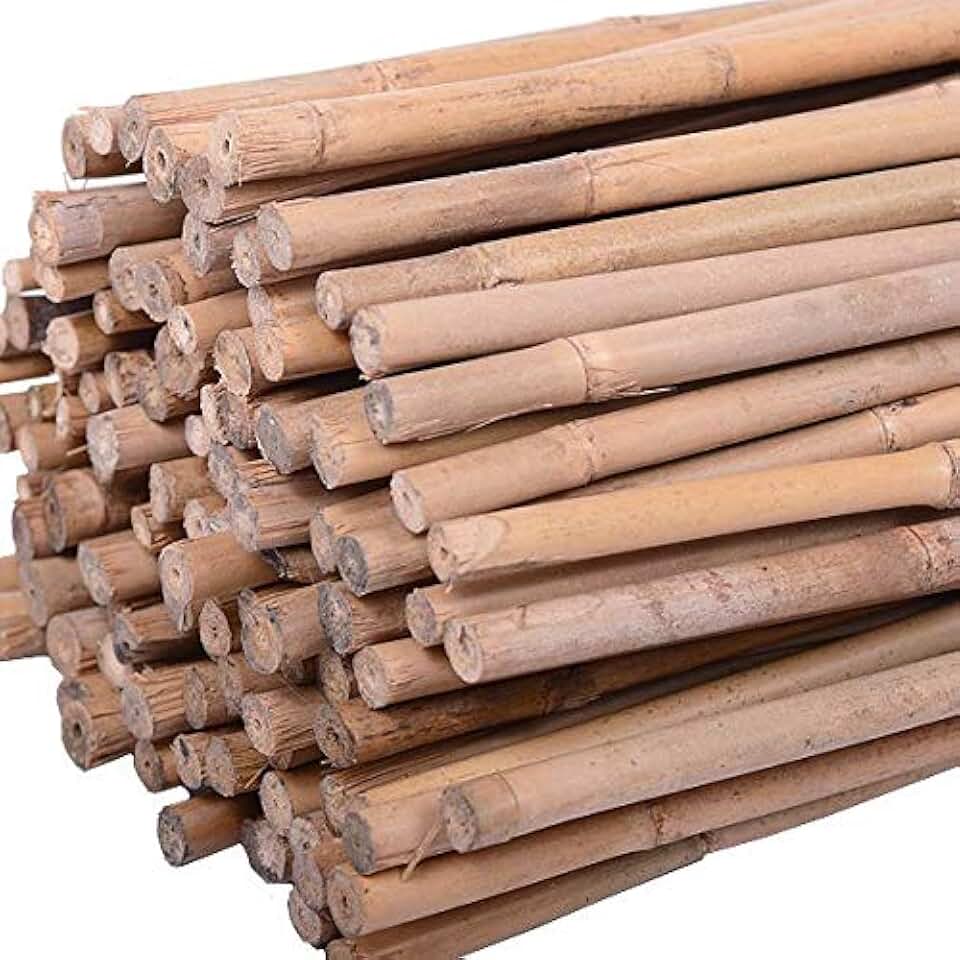 Amazon.co.uk bamboo cane 8ft