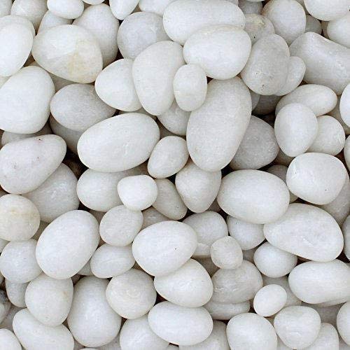 ARK STONE White Pebbles, 15-35mm Average-Sized Polished Pebble for Plants, Vase, Fish Tank, Garden, Highly Polished and Smooth Surface Qty: 4.54 KGS) (B0B2M3VZ1Y) Amazon Price History, Amazon Price Tracker