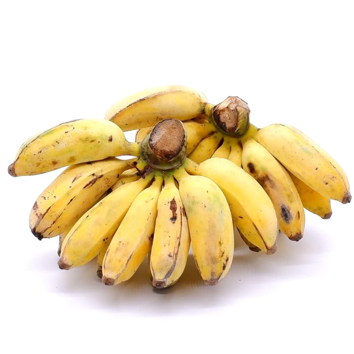 沖縄琉堂 沖縄県産 アップルバナナ