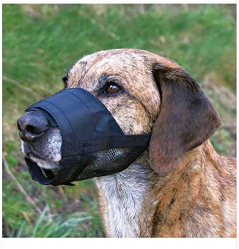 Pawise Bez Köpek Ağızlığı No:5 Xl - Görsel 2