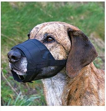 Pawise Bez Köpek Ağızlığı No:3 M