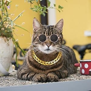 Cat Sunglasses Gold Chain Costume Decorations- Cat UV Protection Classic Retro Puppy Retro Black Sunglasses Faux Gold Adjustable Chain Cosplay Costume Cool Funny Photo Props
